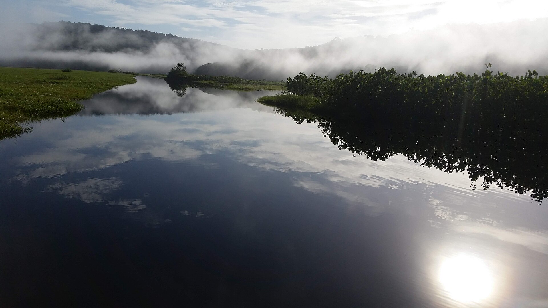 Le marais de Kaw en Guyane