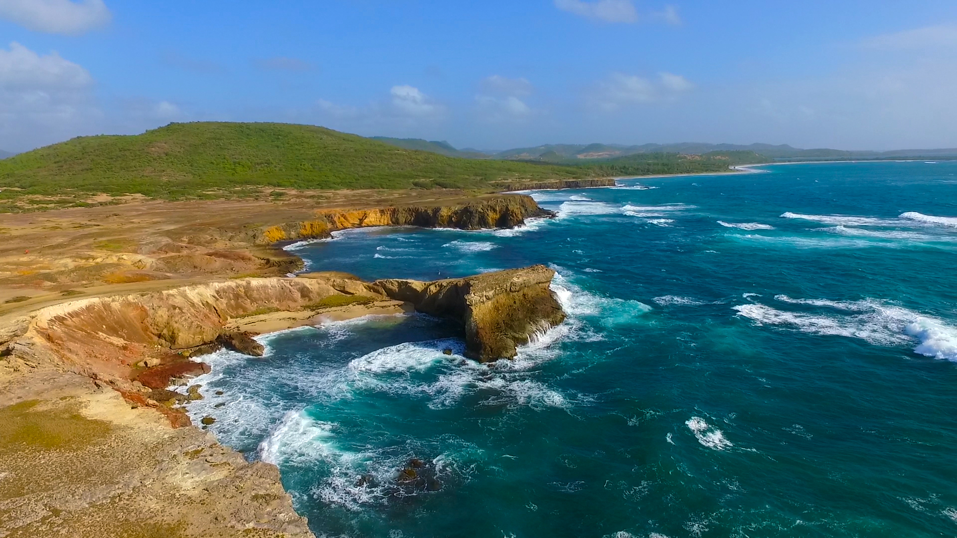 La Savane des Pétrifications en Martinique