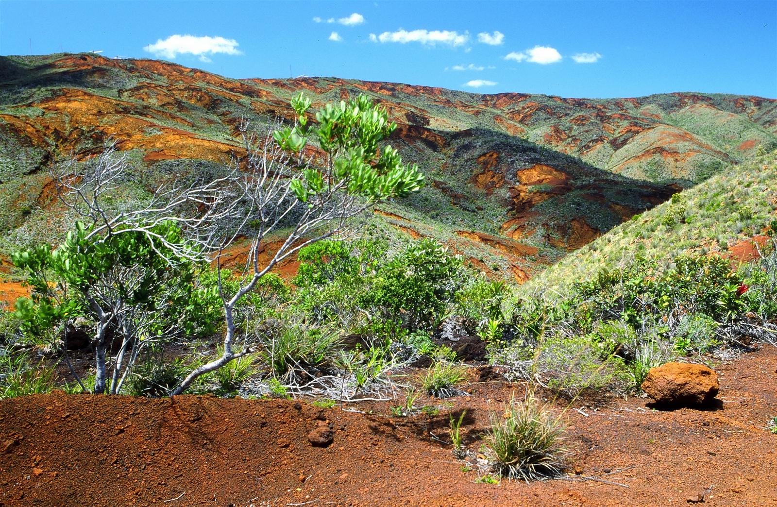 Paysage du sud de la Nouvelle-Calédonie
